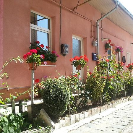 Center Park Apartment Cluj-Napoca Esterno foto