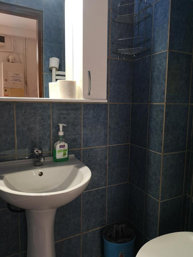 Center Park Apartment Cluj-Napoca Esterno foto