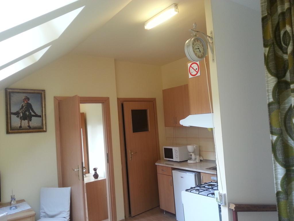 Center Park Apartment Cluj-Napoca Esterno foto
