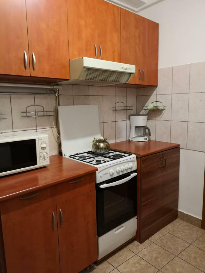 Center Park Apartment Cluj-Napoca Esterno foto